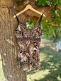 Robe courte - T.L
